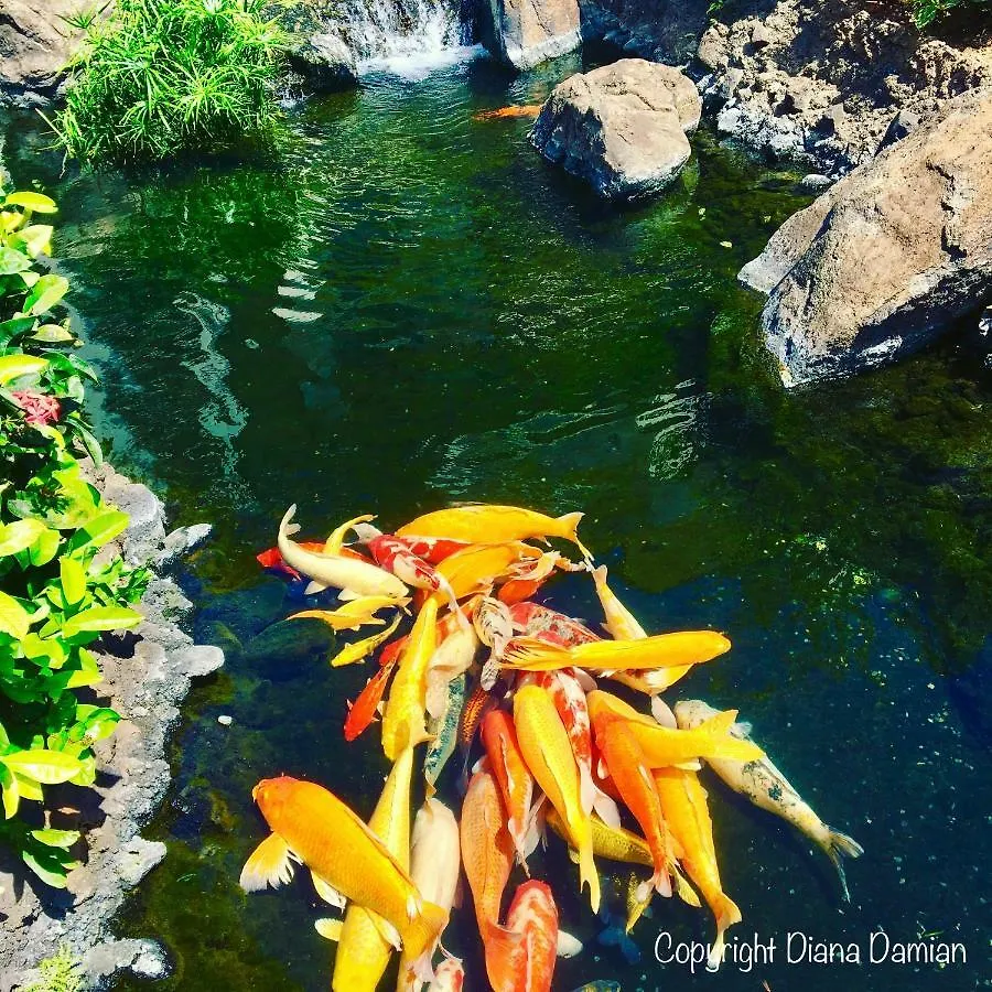 Beach Villa At Ko'Olina Kapolei United States